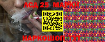 индика Тверь