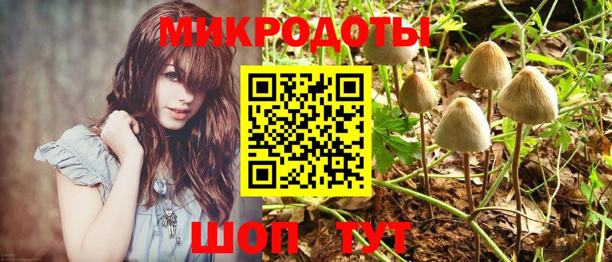 Галлюциногенные грибы Cubensis Новороссийск