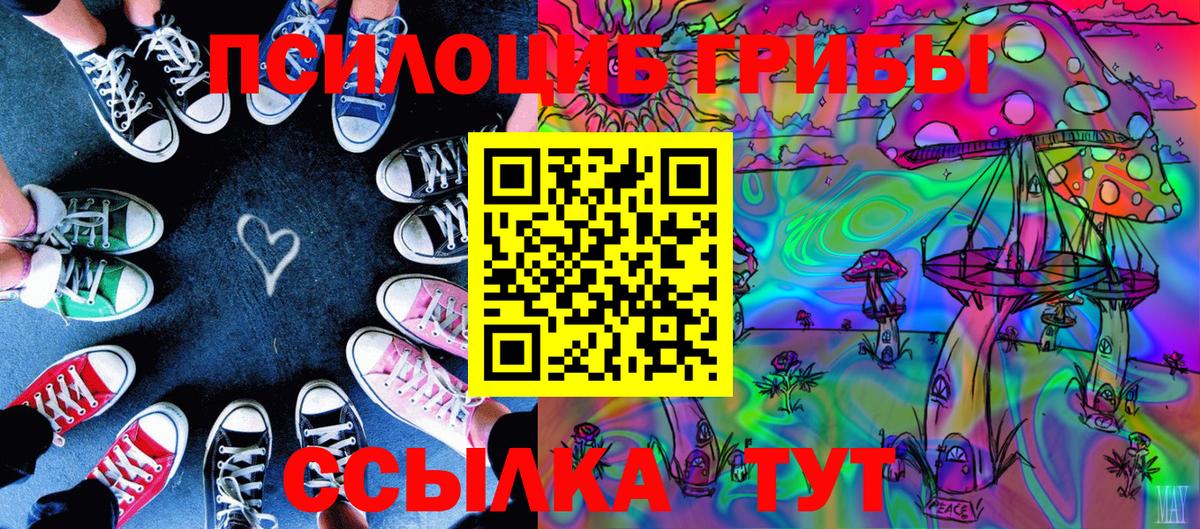 Новороссийск  Галлюциногенные грибы Psilocybine cubensis  Вход с VPN 